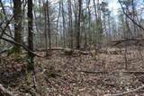 10.79ac S/O Buffalo Rd Rd - Photo 23
