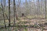10.79ac S/O Buffalo Rd Rd - Photo 32