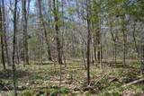 10.79ac S/O Buffalo Rd Rd - Photo 33