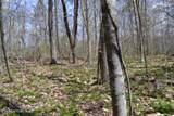 10.79ac S/O Buffalo Rd Rd - Photo 37