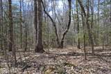 10.79ac S/O Buffalo Rd Rd - Photo 39