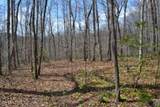 10.79ac S/O Buffalo Rd Rd - Photo 4