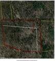 10.79ac S/O Buffalo Rd Rd - Photo 46