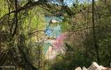 Lot 31 Ridgeland Drive - Photo 12