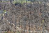  Fawn Rest Drive - Photo 6