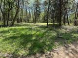 0 White Pine Rd Off Rd - Photo 11