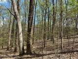 0 White Pine Rd Off Rd - Photo 4