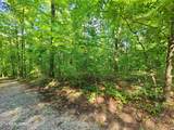 Lot 9 Walden Flats Way - Photo 2