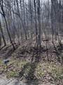 0.17 ac Hickory Hollow Rd - Photo 3