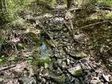 259 Little Tater Valley Rd - Photo 7
