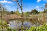 920 Jim Norton Loop - Photo 4