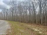 0 Crystal Point - Photo 11
