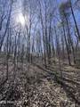 1.31 ac Retreat Circle - Photo 3