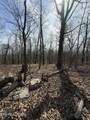 Lot 69 Log Rd - Photo 14