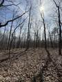Lot 69 Log Rd - Photo 17