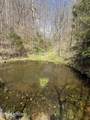 00 Kyles Ford (35 Acres) Hwy - Photo 11