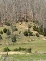 00 Kyles Ford (35 Acres) Hwy - Photo 12