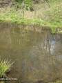 00 Kyles Ford (35 Acres) Hwy - Photo 13