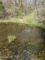 00 Kyles Ford (35 Acres) Hwy - Photo 19