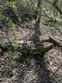 00 Kyles Ford (35 Acres) Hwy - Photo 26