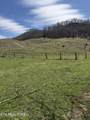00 Kyles Ford (35 Acres) Hwy - Photo 29