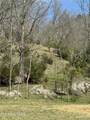 00 Kyles Ford (35 Acres) Hwy - Photo 32