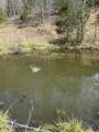 00 Kyles Ford (35 Acres) Hwy - Photo 36