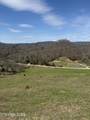 00 Kyles Ford (35 Acres) Hwy - Photo 5