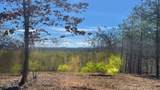 194 Forest Ridge Lane - Photo 11