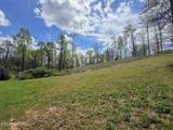 0 Woodland Drive - Photo 5