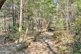  Ridge Top Drive - Photo 11