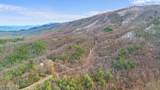 4046 Forest Trail Drive - Photo 10