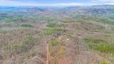 4046 Forest Trail Drive - Photo 11