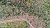 4046 Forest Trail Drive - Photo 13