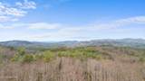 4046 Forest Trail Drive - Photo 14