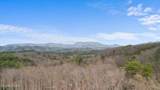 4046 Forest Trail Drive - Photo 15