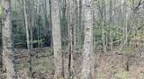 4046 Forest Trail Drive - Photo 4