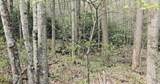 4046 Forest Trail Drive - Photo 5