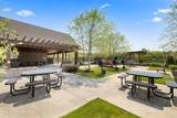 11039 Big Sky Lane - Photo 44