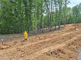 121 Cherry Tree Lane - Photo 5