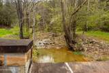  Mountain Ash Way - Photo 16