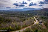  Mountain Ash Way - Photo 1