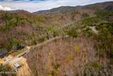  Mountain Ash Way - Photo 9