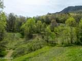  Dry Valley Rd - Photo 11