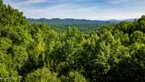 3 Tracts Wilson Hollow Way - Photo 17