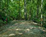 3 Tracts Wilson Hollow Way - Photo 18