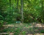 3 Tracts Wilson Hollow Way - Photo 19