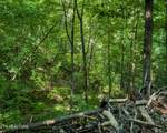 3 Tracts Wilson Hollow Way - Photo 20