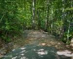 3 Tracts Wilson Hollow Way - Photo 21
