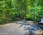 3 Tracts Wilson Hollow Way - Photo 22